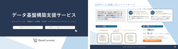 CDP構築/活用支援サービス資料イメージ