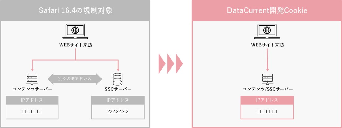 DataCurrent開発Cookie