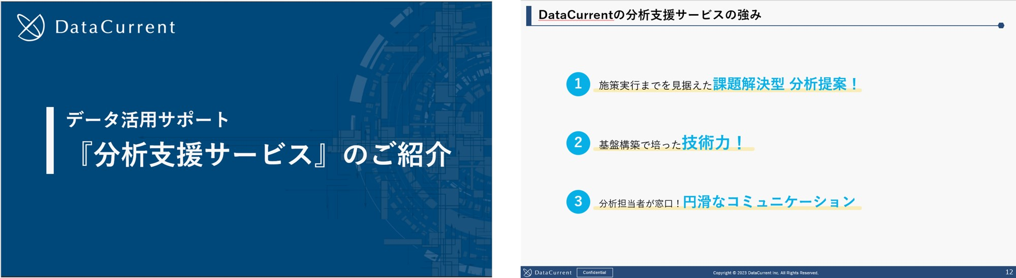 分析支援サービス