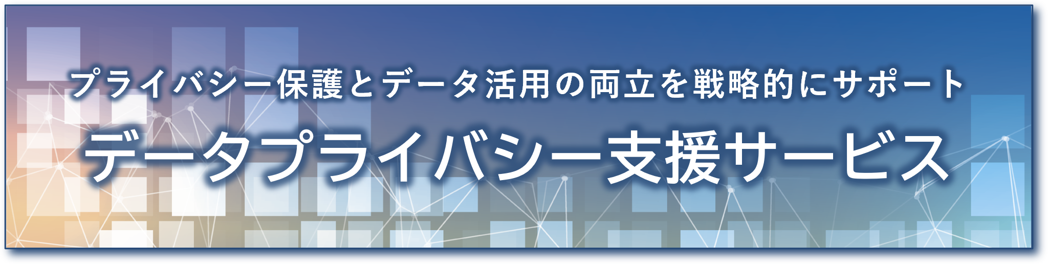 データプライバシー支援サービス