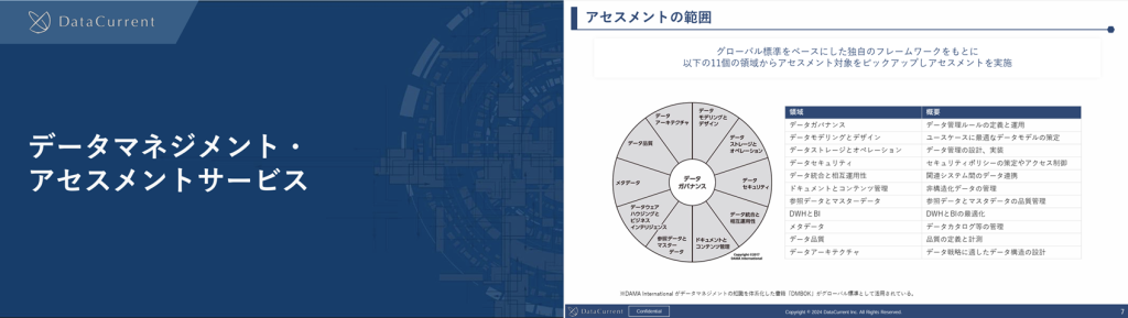 データマネジメント・アセスメントサービス